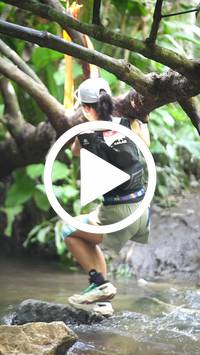 BIB:  <button type="button" onclick="openModal(27824339)" class="btn btn-primary btn-sm float-right" data-toggle="modal" data-target=".modal-high-quality">
                <i class="fa fa-download"></i> Download
                </button>